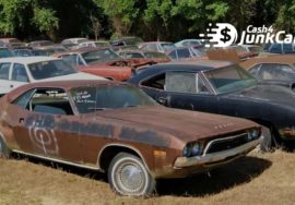 buy a car from junkyard