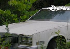 junk your car